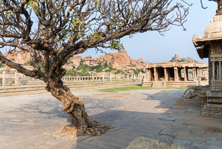 India 2014 - Hampi 069.jpg